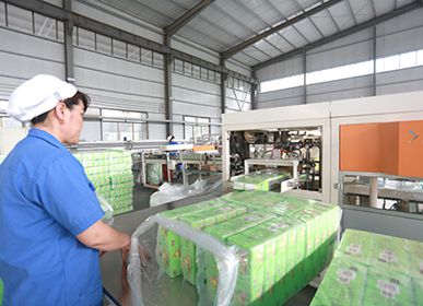 facial tissue manufacturer