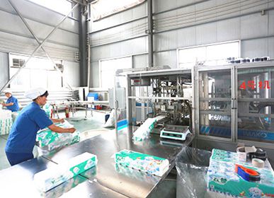 Manufacturing facility showcasing advanced hygiene product production