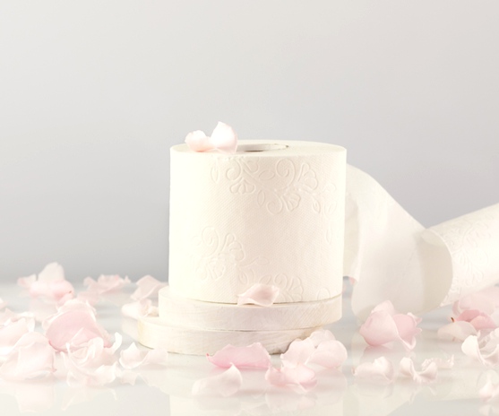 Top Source Hygiene eco-friendly toilet paper roll on a green background