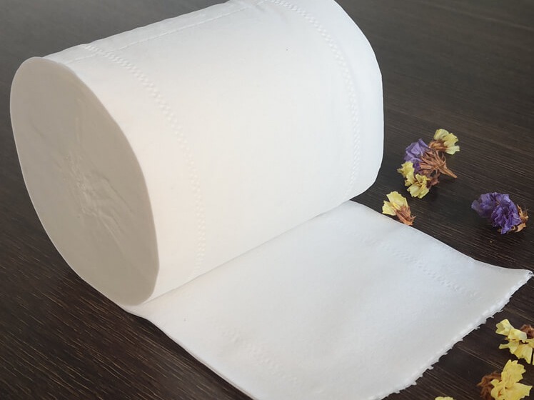 Customizable toilet paper rolls with embossed design options