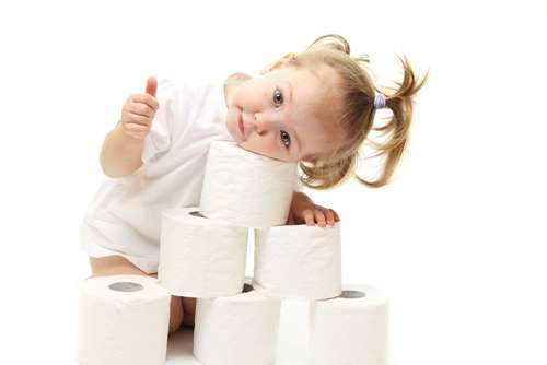 Soft and eco-friendly toilet paper in a stylish hotel bathroom