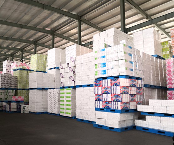 Interior view of Top Source Hygiene toilet paper warehouse filled with products