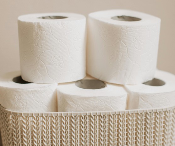 Sustainable toilet paper addressing hygiene needs in North America