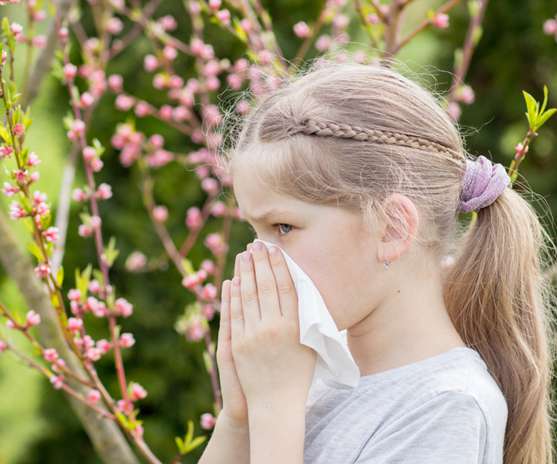 Facial tissues being used in a professional setting