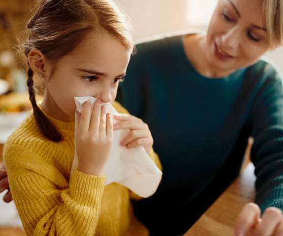 Facial tissue application in a stylish holder with decorative design