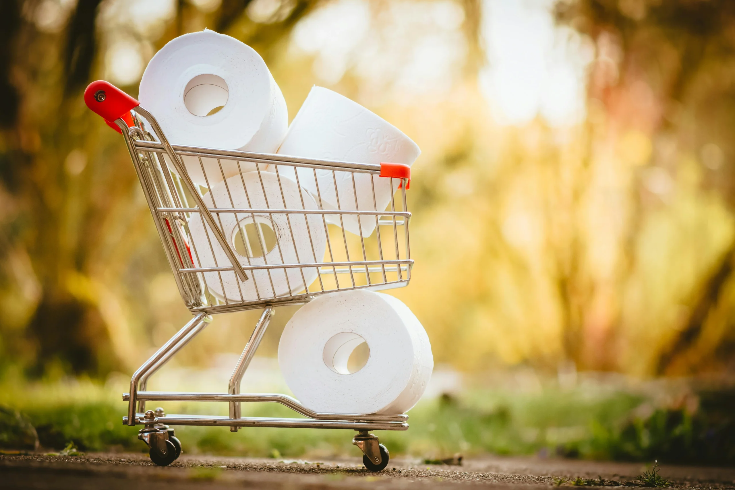 A shopping cart filled with toilet paper rolls against a blurred outdoor background.
