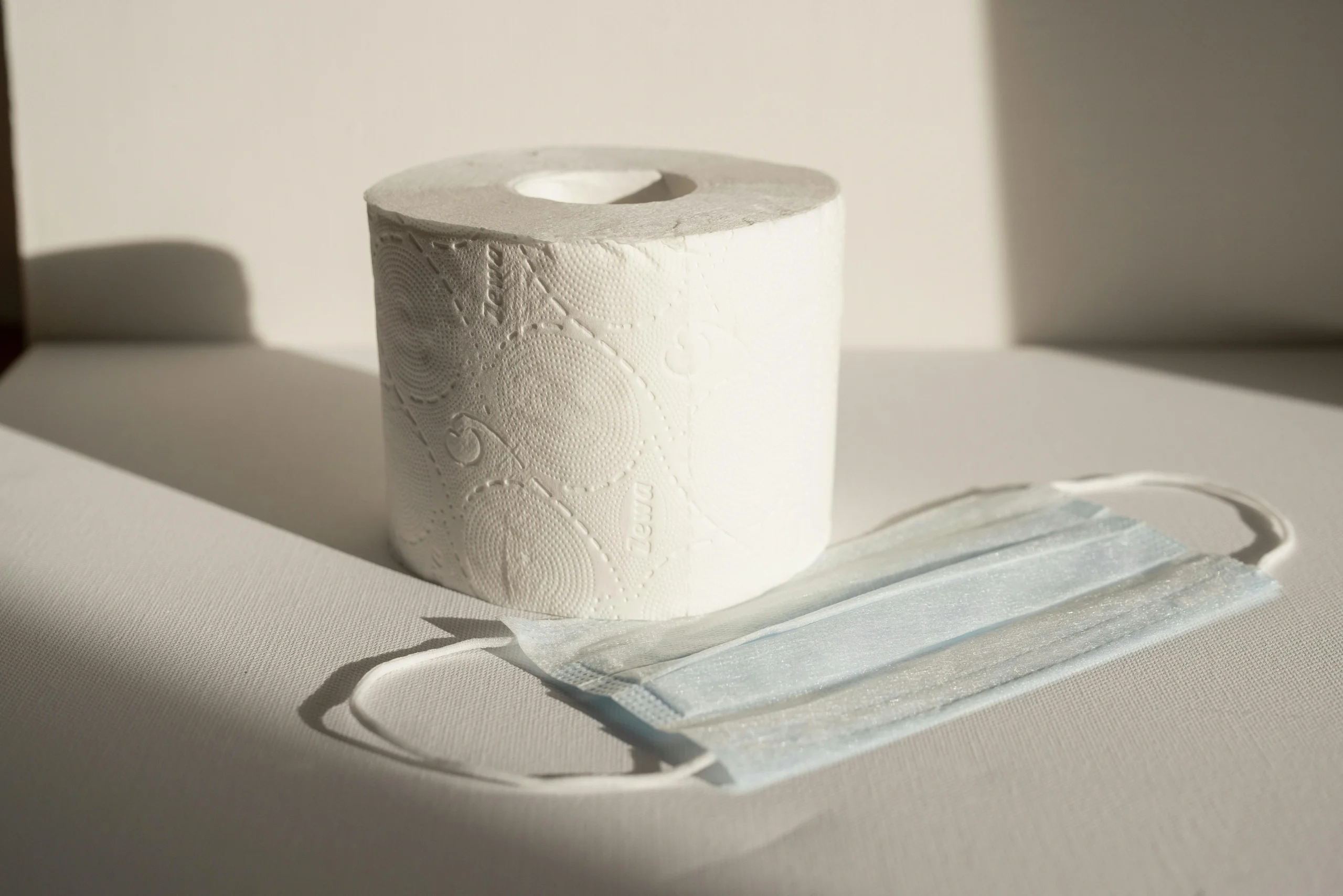 A toilet paper roll and face mask captured in natural light, symbolizing modern hygiene essentials.