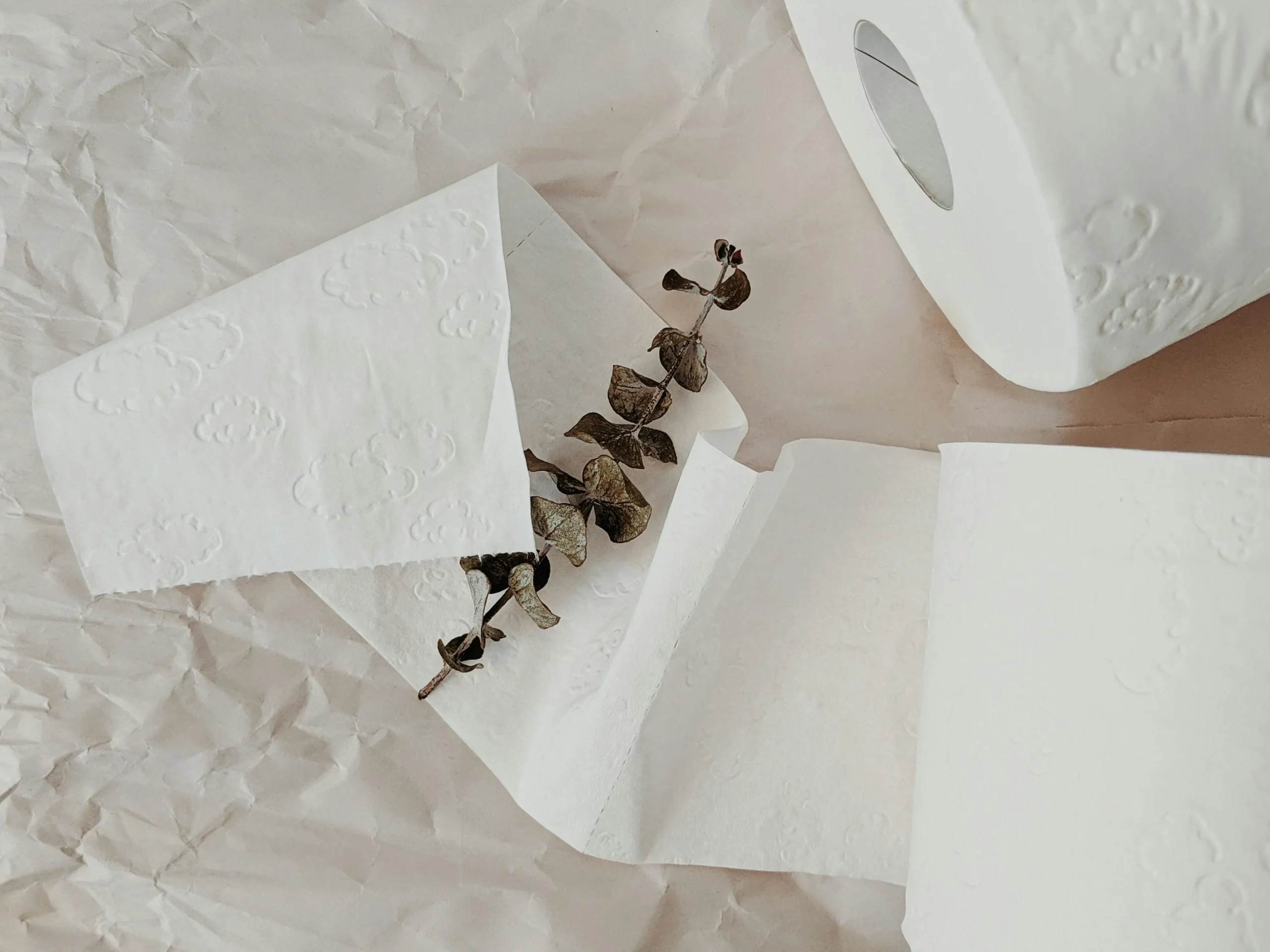 FSC certified virgin toilet paper
