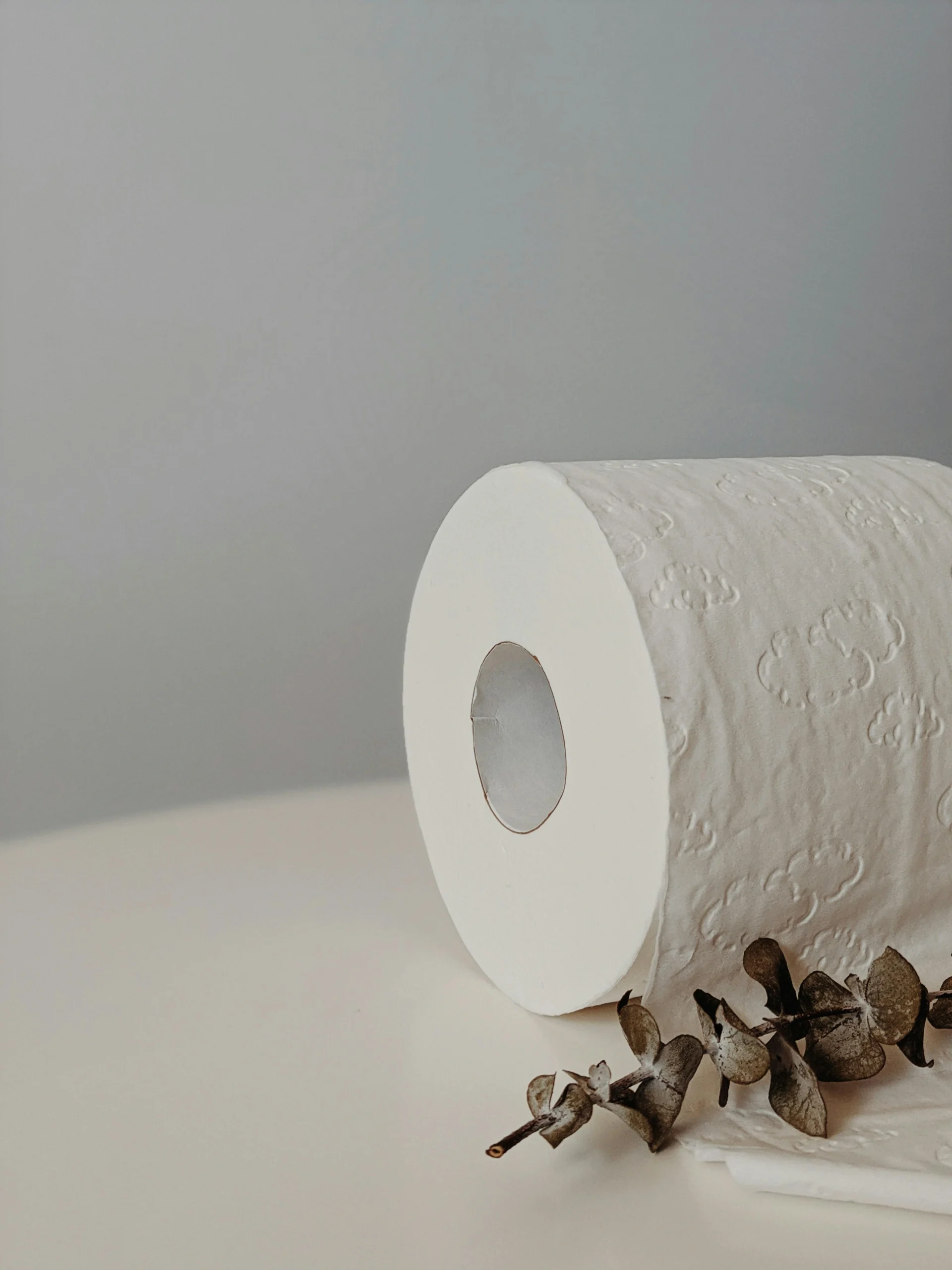 Minimalist scene with a roll of toilet paper next to eucalyptus leaves. Perfect for hygiene and wellness themes.