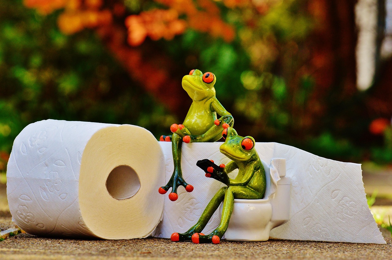 custom printed toilet paper master rolls