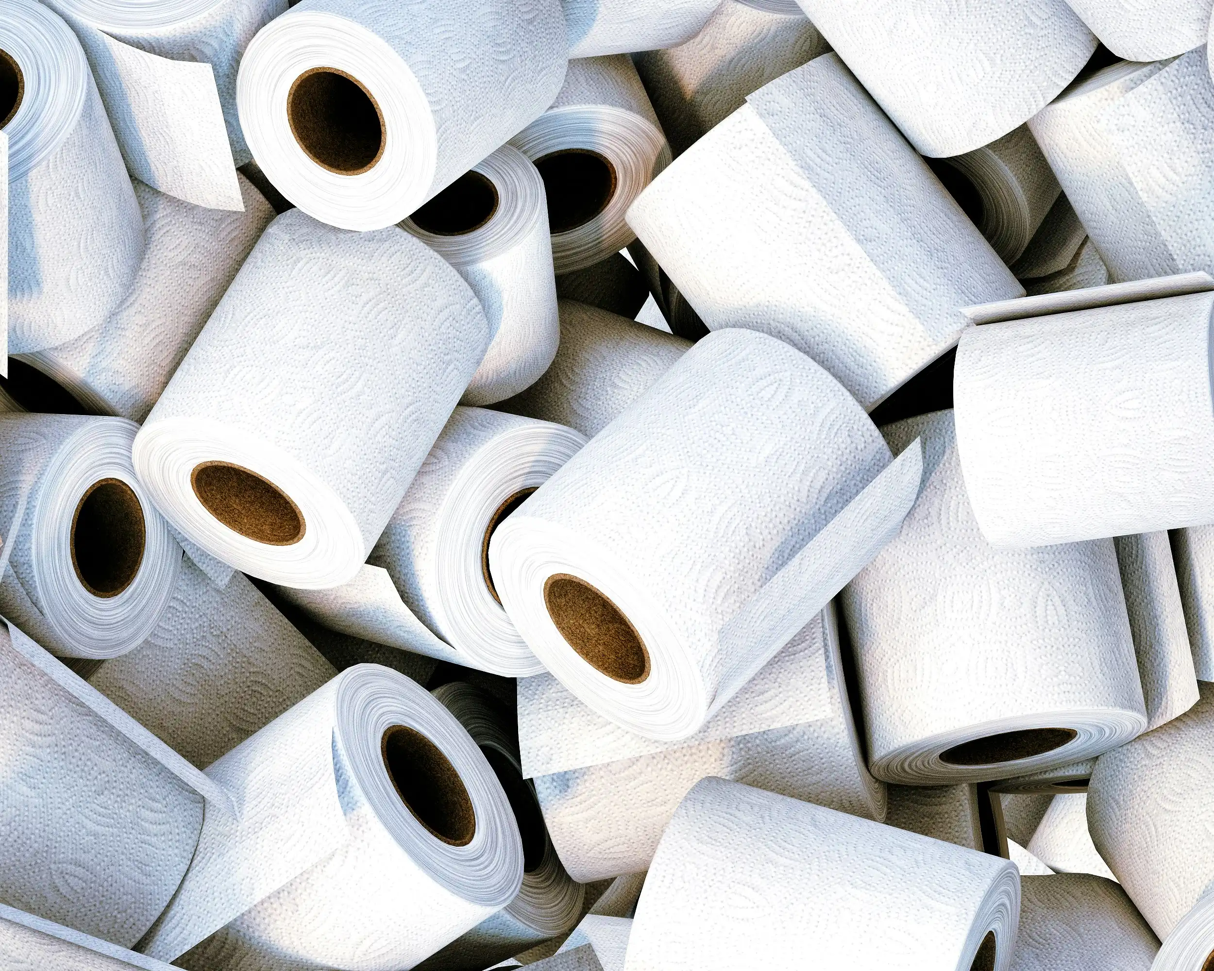private label toilet paper manufacturing