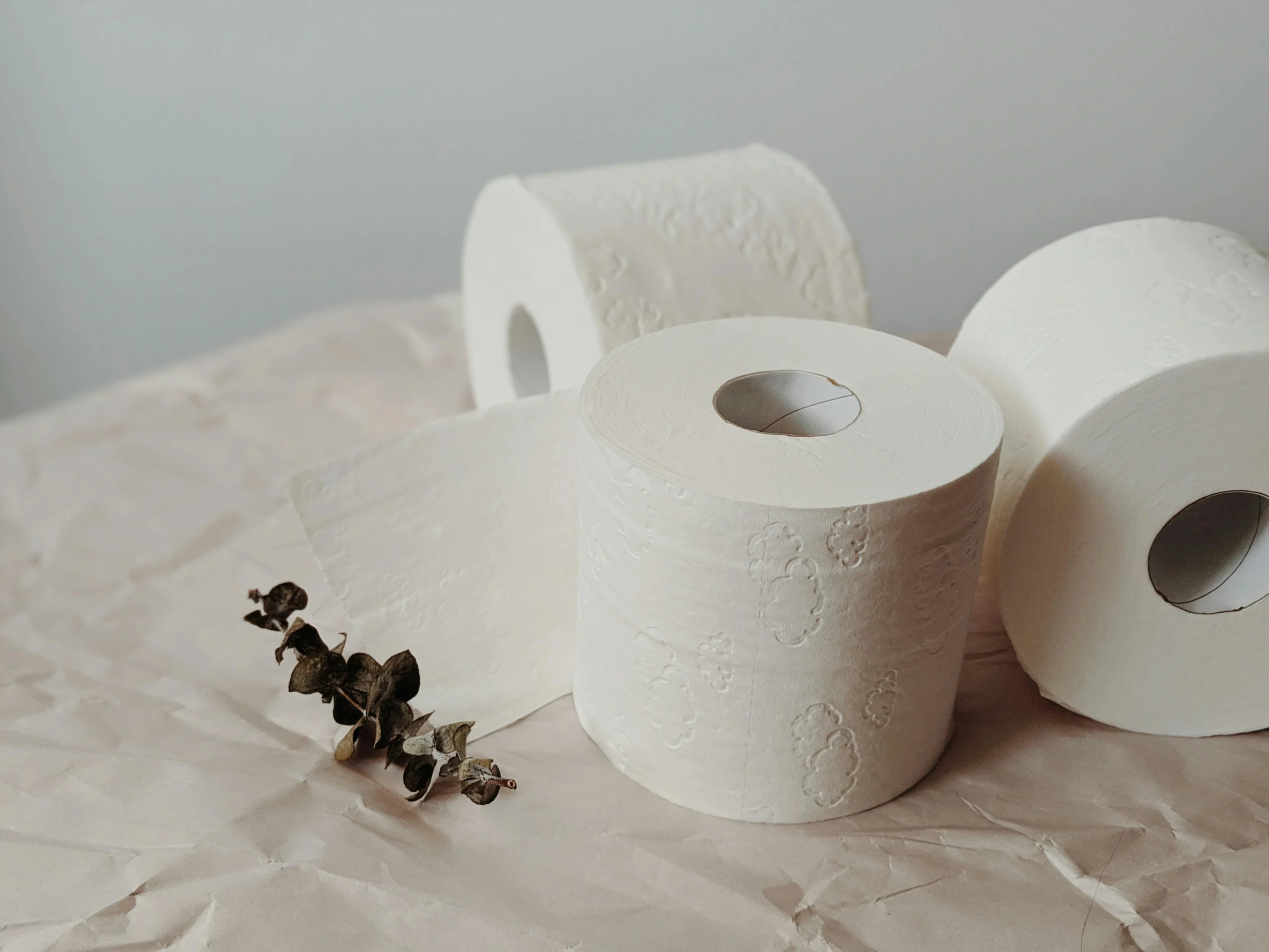 Three toilet paper rolls on craft paper with eucalyptus, showcasing minimalist home essentials.