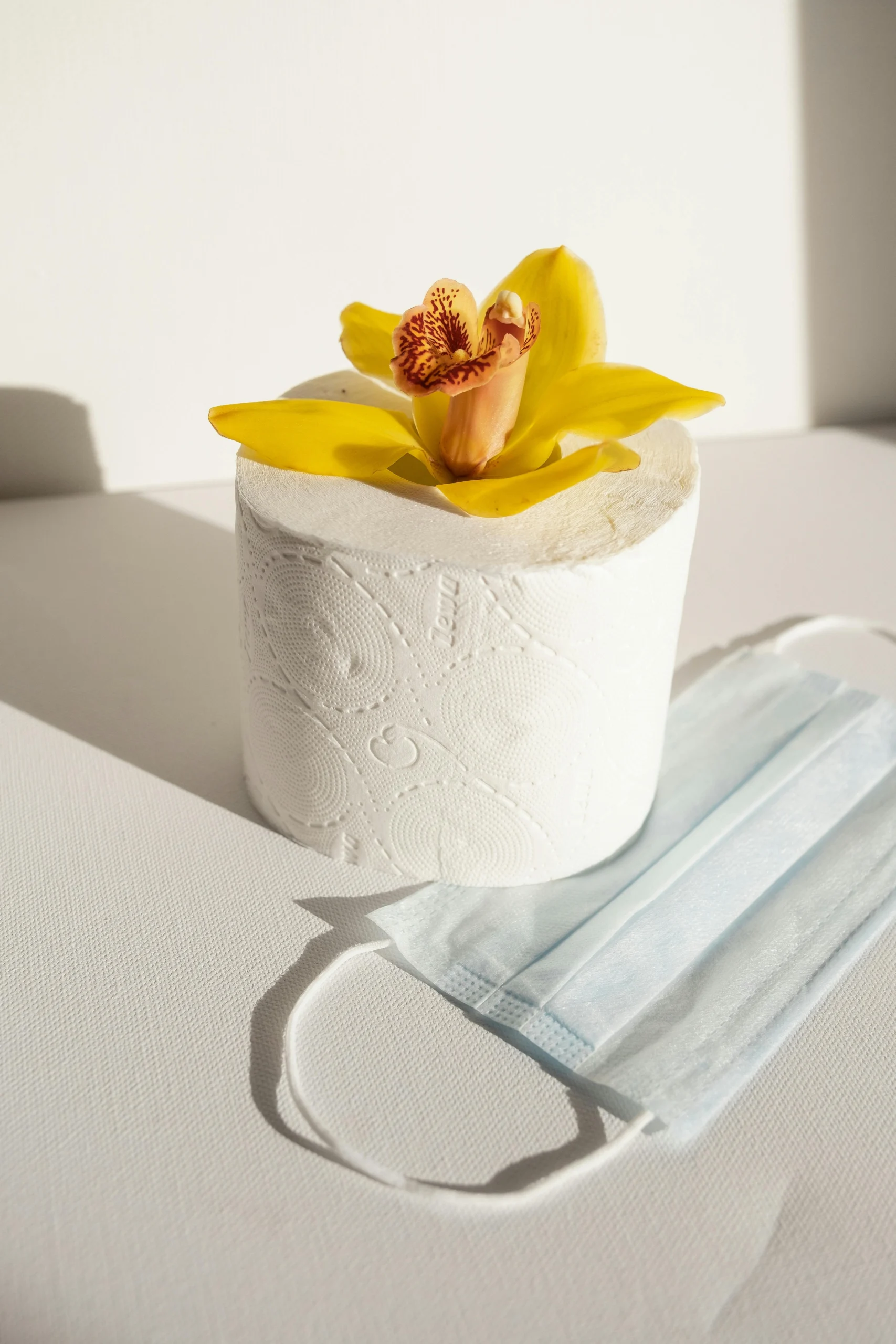Toilet paper roll adorned with a yellow orchid beside a face mask in soft sunlight.
