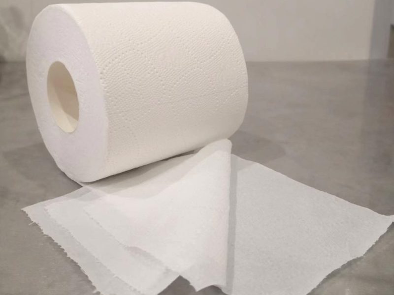 1-Ply vs. 2-Ply Toilet Paper