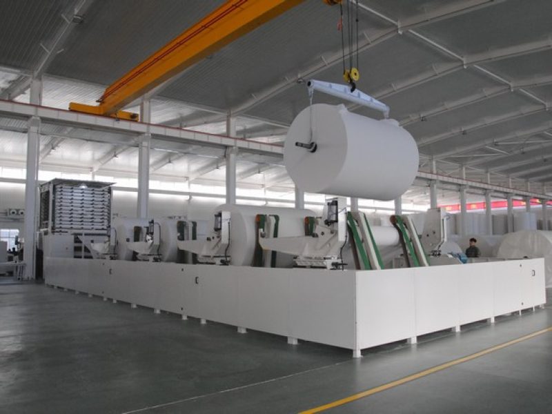 Bamboo vs. Recycled Toilet Paper (3)