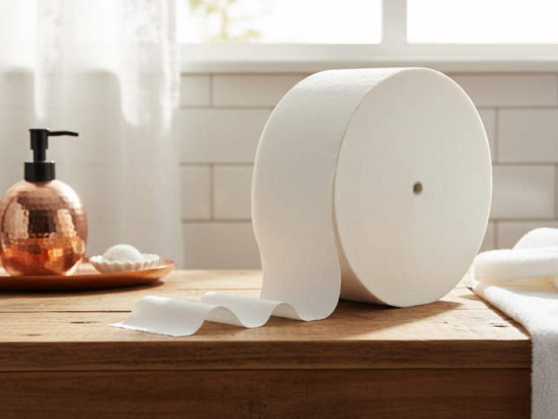 Coreless Jumbo Toilet Paper (2)