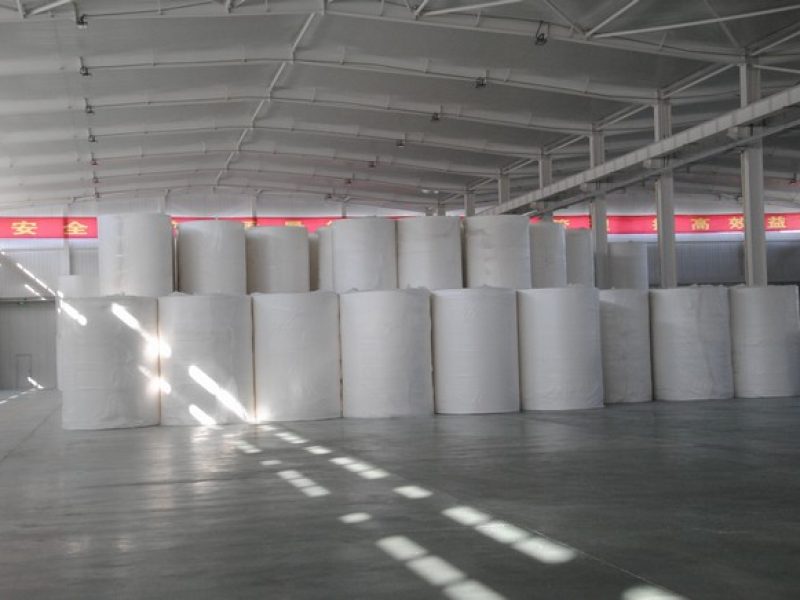 Customizing Tissue for Pediatric and Geriatric Markets (1)