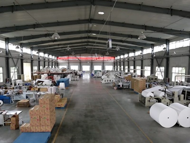 Customizing Tissue for Pediatric and Geriatric Markets (4)