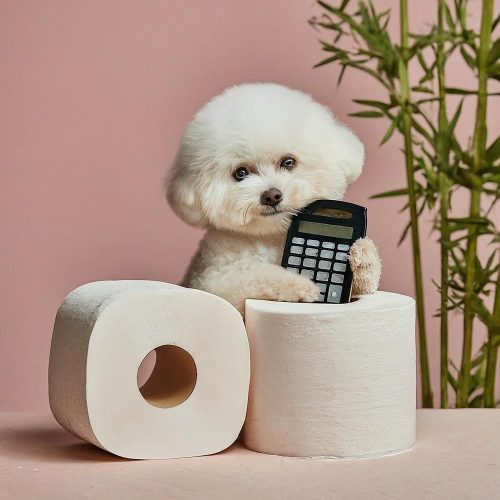 Environmentally conscious toilet paper rolls made from 100% virgin pulp