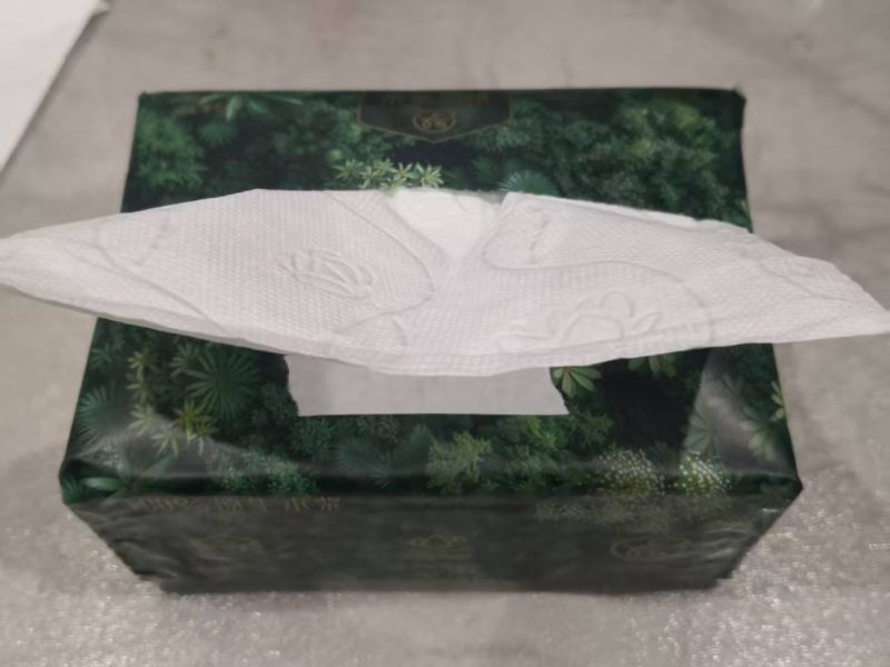 Facial Tissue (10)