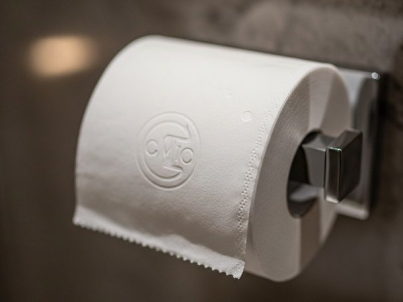 Micro-Embossing vs Quilted Commercial Toilet Paper Patterns (1)