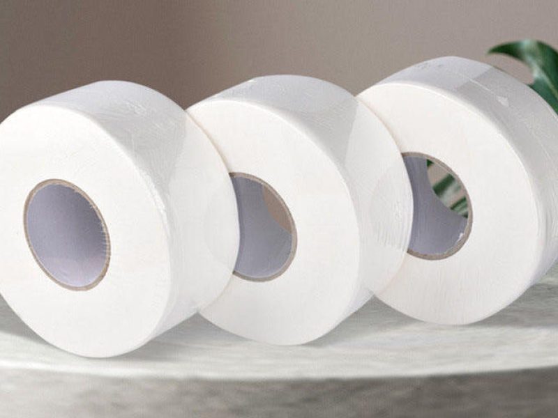 Oxygen Bleached vs Chlorine Bleached Commercial Toilet Paper (2)