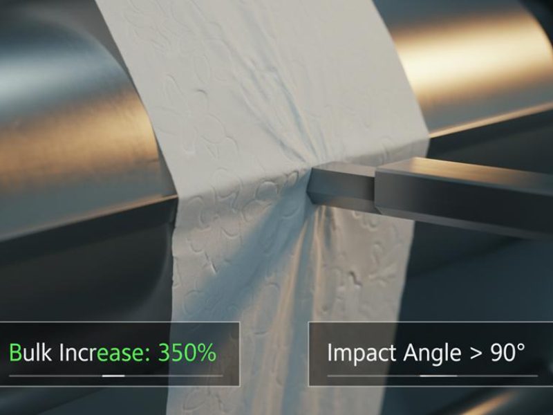 Scanning Electron Microscopy (SEM) Mapping Tissue Surface Topography (3)