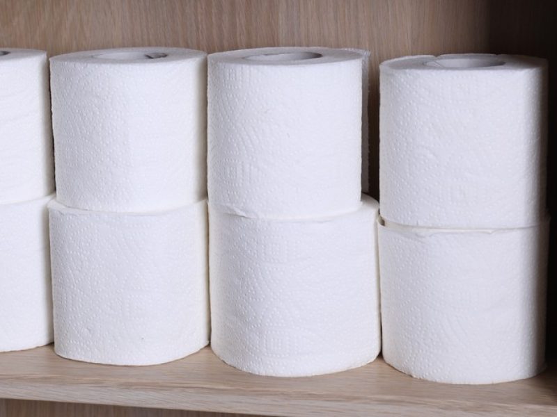 Standard toilet paper rolls displayed on a white background