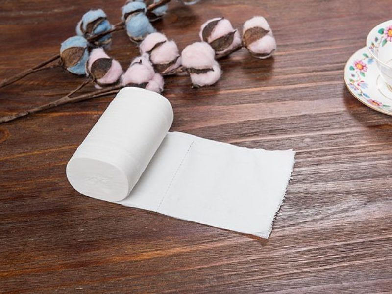 Toilet Paper Ply & Size (4)