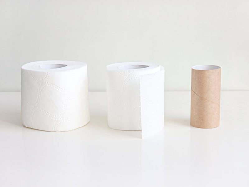 Roll,Of,Toilet,Paper,And,Empty,Toilet,Roll