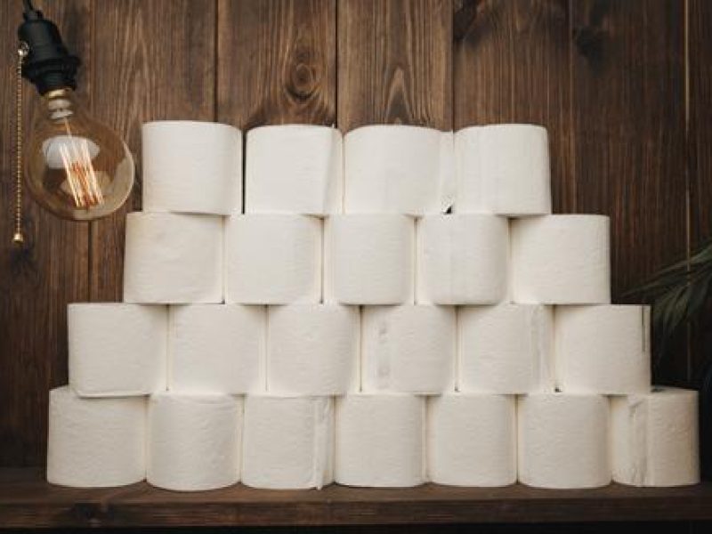 Soft and absorbent toilet tissue paper roll made from virgin pulp