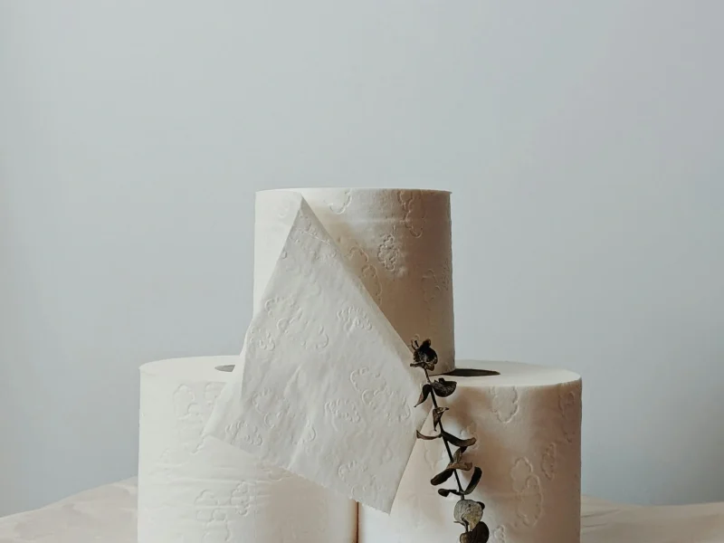 Artistic still life of stacked toilet paper rolls with eucalyptus, showcasing minimalism.