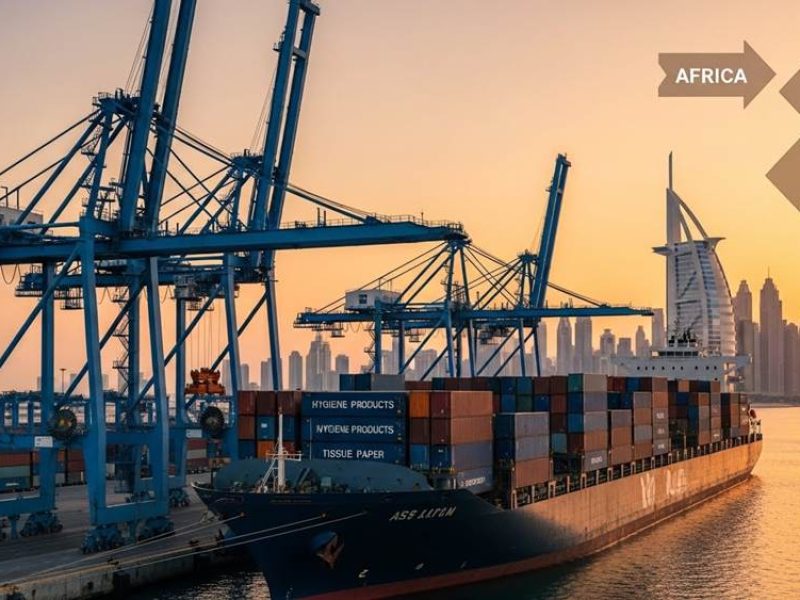 drone shot of Jebel Ali Port in Dubai