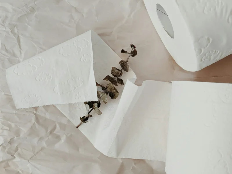 FSC certified virgin toilet paper